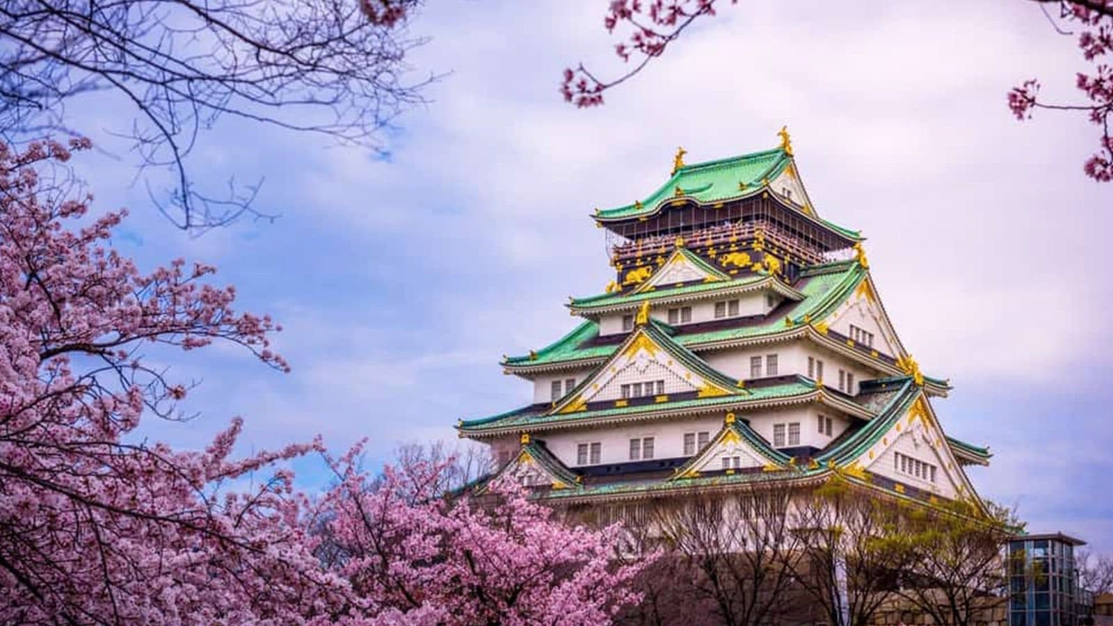Elegant Japonya Türk Hava Yolları ile 7 Gece