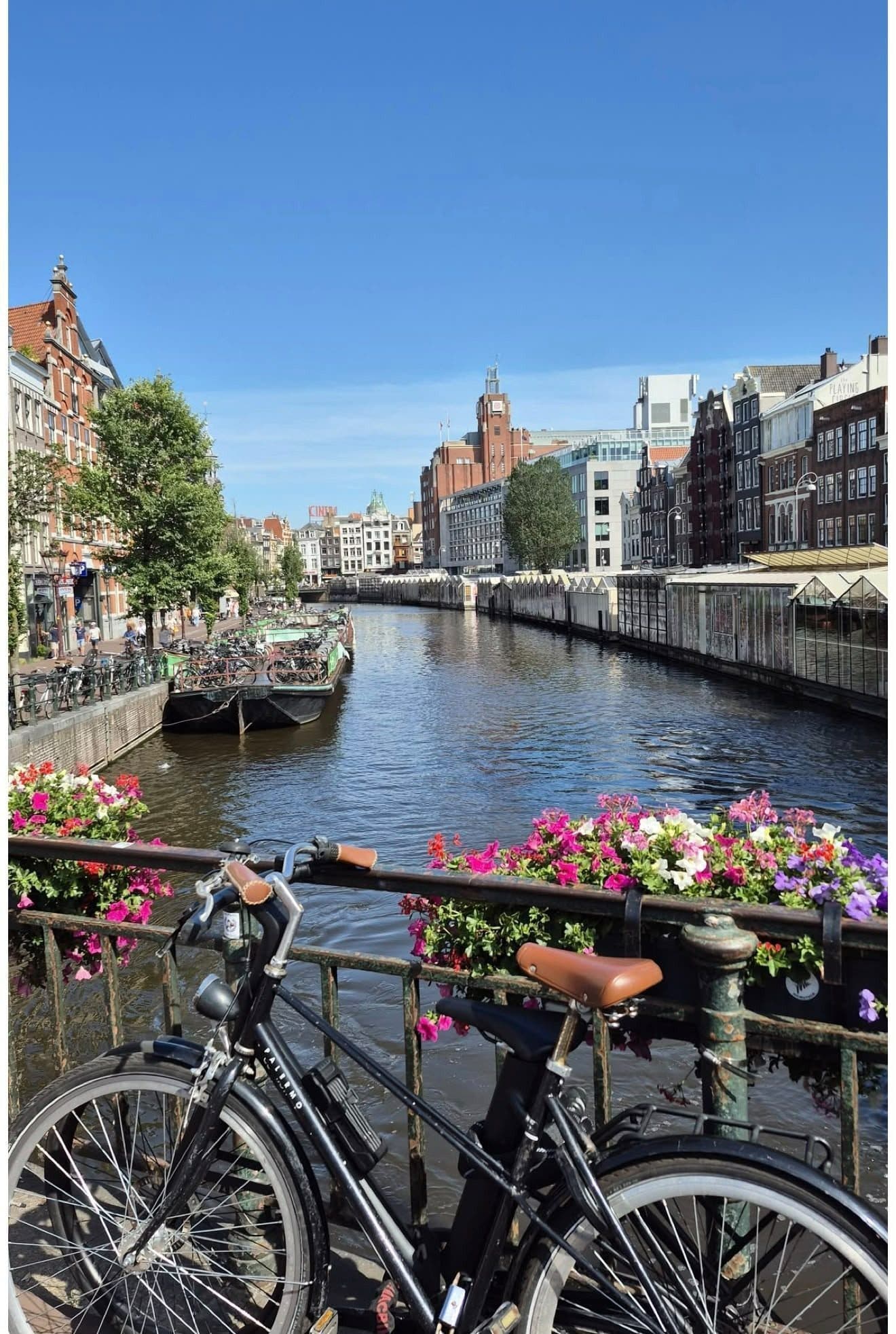Ocak Sömestr Özel Amsterdam, Paris ve Londra Turu – THY ile İstanbul Çıkışlı