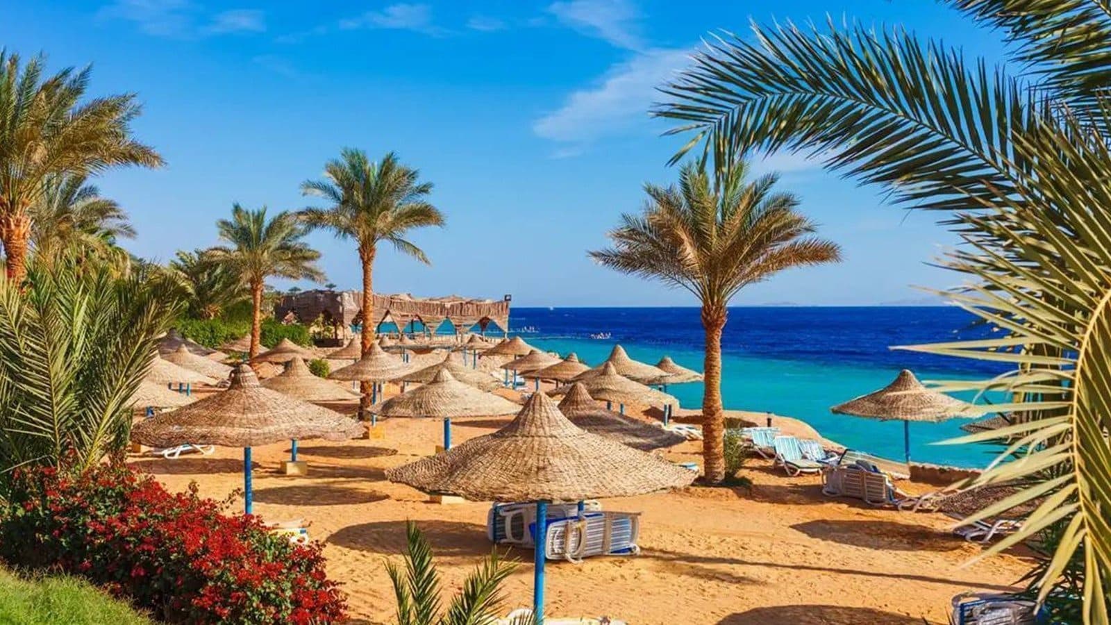 Kahire ve Sharm Turu – Freebird ile Samsun Çıkışlı